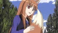 Anim-Spice and Wolf